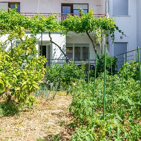 Apartman With Parking Space - 23849 Trogir